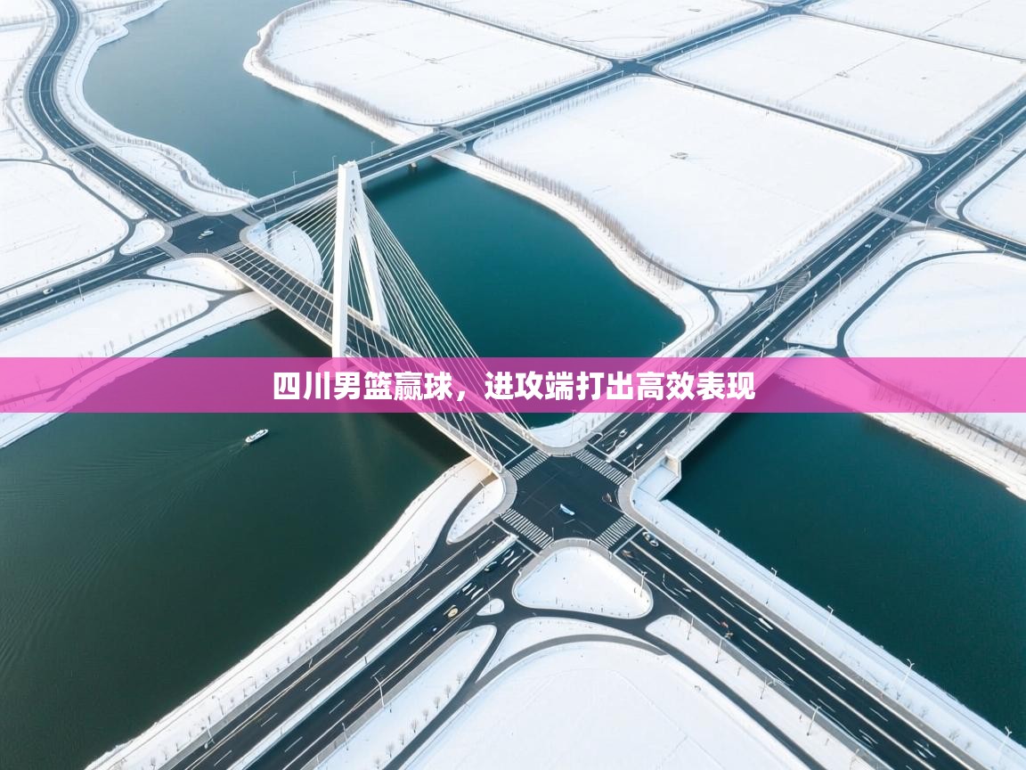 四川男篮赢球，进攻端打出高效表现