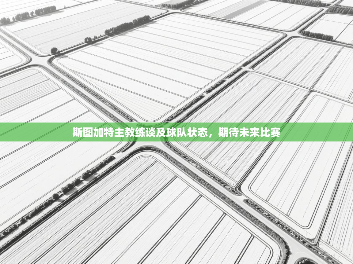 斯图加特主教练谈及球队状态，期待未来比赛  第2张