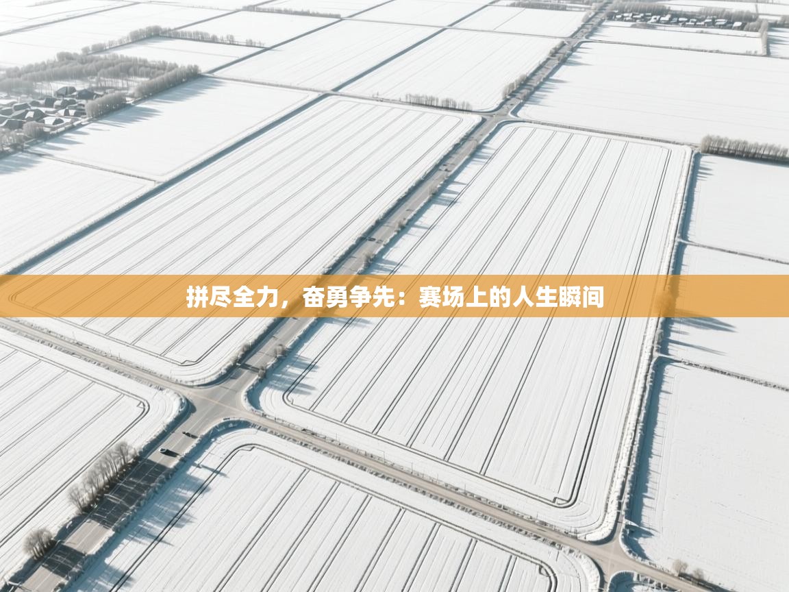 拼尽全力，奋勇争先：赛场上的人生瞬间