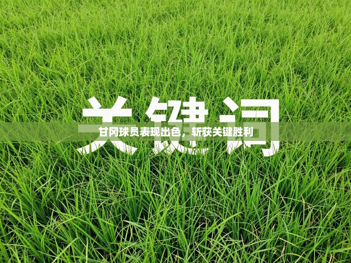 甘冈球员表现出色,斩获关键胜利 第1张