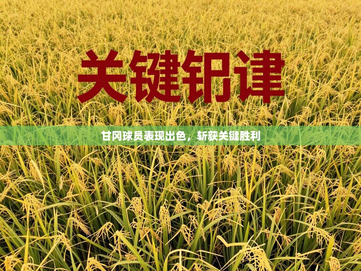 甘冈球员表现出色,斩获关键胜利 第2张