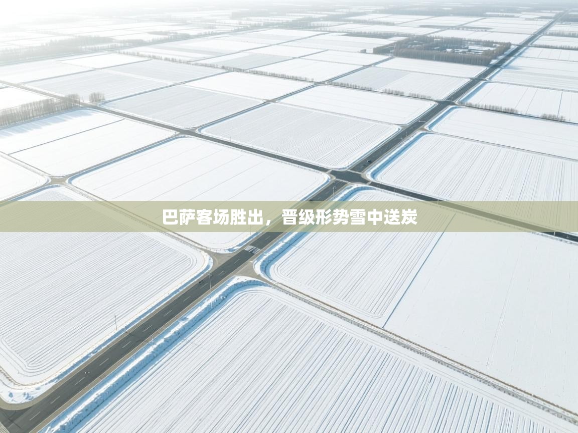 巴萨客场胜出，晋级形势雪中送炭  第2张