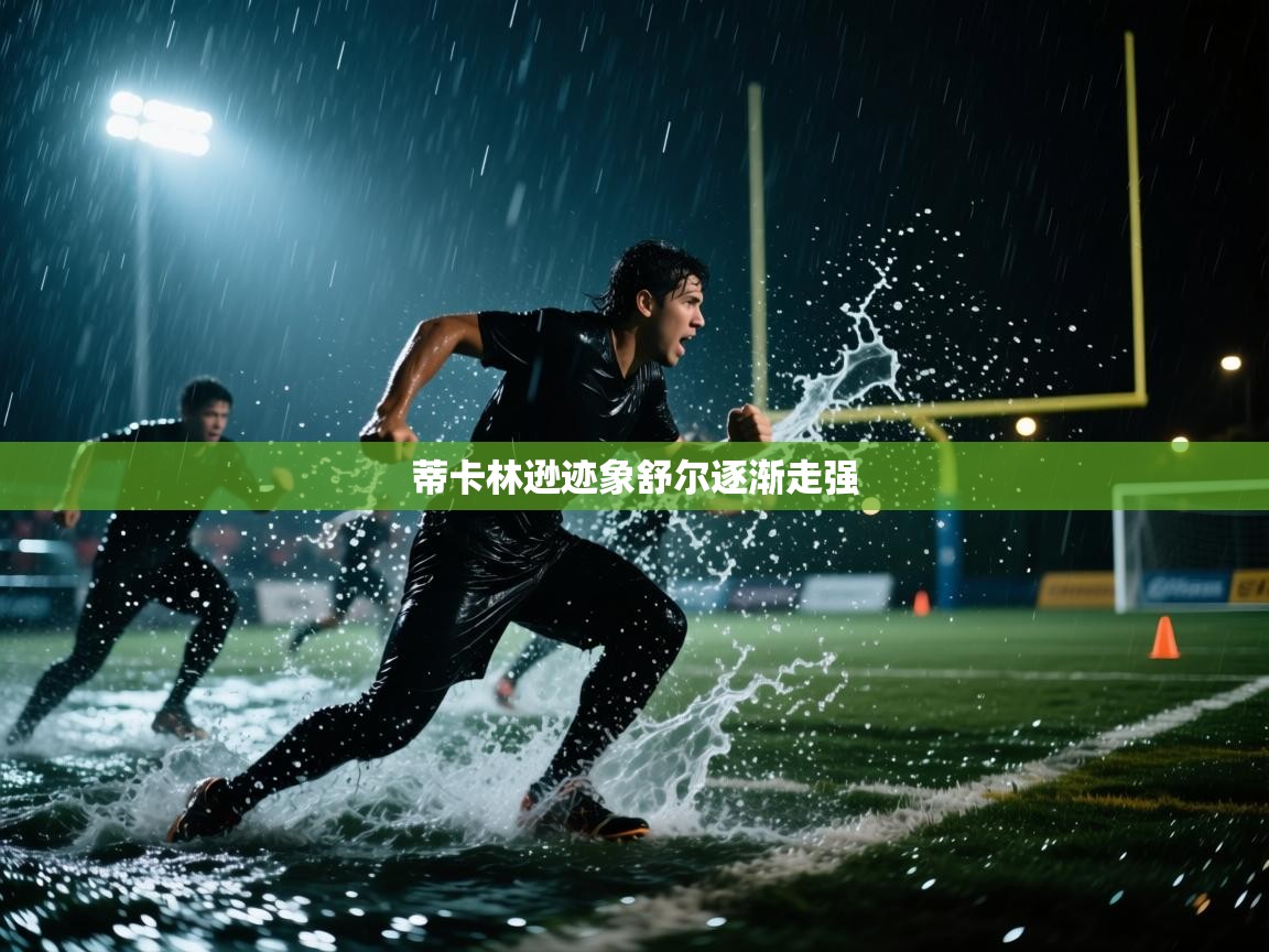 蒂卡林逊迹象舒尔逐渐走强  第2张