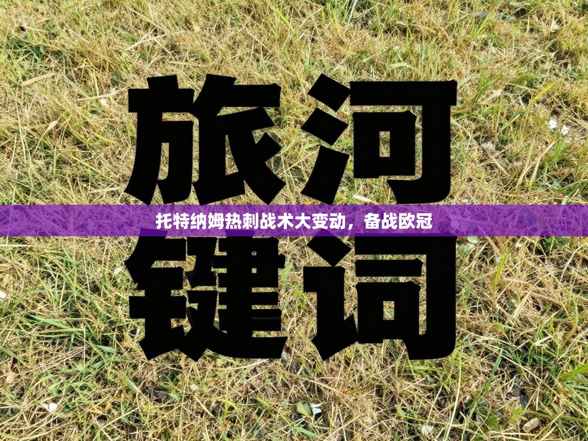 托特纳姆热刺战术大变动，备战欧冠